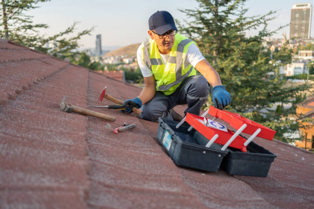 Best Storm Damage Siding Repair  in Darlington, SC